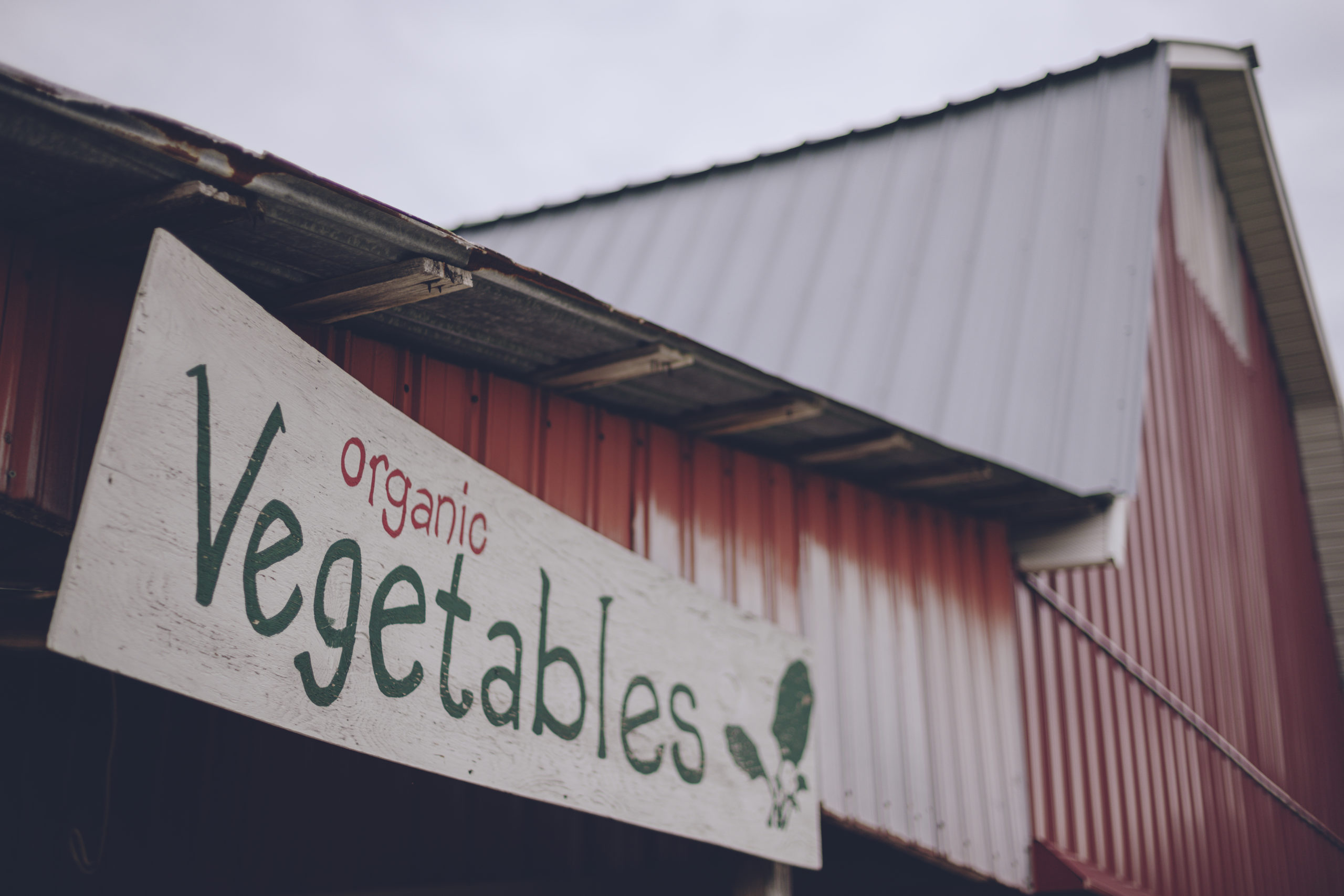 New Ground Farm photo 12