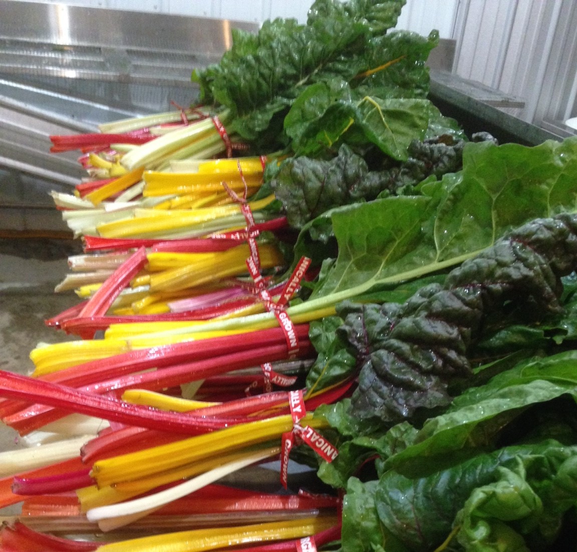 New Ground Farm photo 11